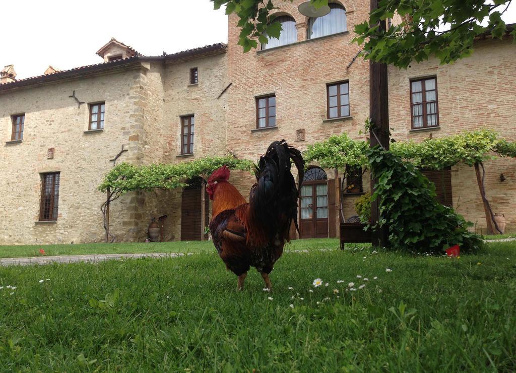 Hotel Residenza D'Epoca Il Biribino Città di Castello Zewnętrze zdjęcie